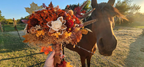 Fall Leaves Bridal Bouquet