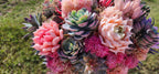 Desert Sunrise Succulent/Cactus Bridal Bouquet (Peach, Pink, Green, Purple)