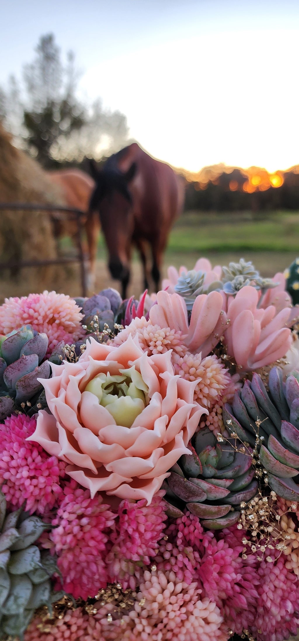 Desert Sunrise Succulent/Cactus Bridal Bouquet (Peach, Pink, Green, Purple)